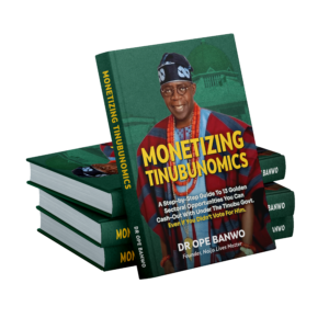 MONETIZING TINUBUNOMICS